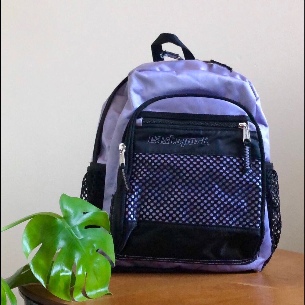 Eastsport icey purple and black backpack 🎒
